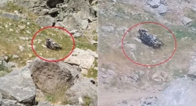 Batman'da keşiften dönen bilirkişi heyetinin aracı şarampole yuvarlandı: Çok sayıda ölü var