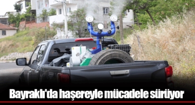 Bayraklı'da haşereyle mücadele sürüyor