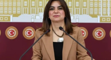 DEM Parti komisyonun adını duyurdu