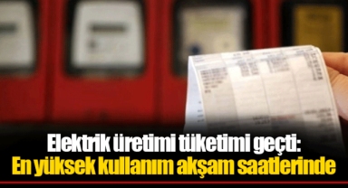 Elektrik üretimi tüketimi geçti: En yüksek kullanım akşam saatlerinde
