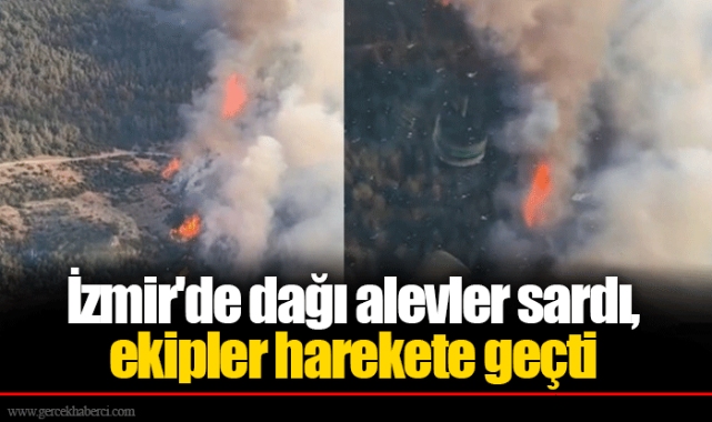 İzmir'de dağı alevler sardı, ekipler harekete geçti