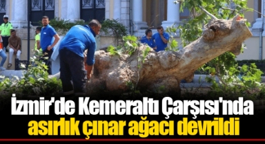 İzmir'de Kemeraltı Çarşısı'nda asırlık çınar ağacı devrildi