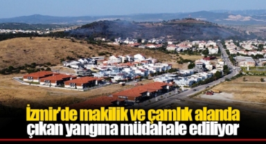 İzmir'de makilik ve çamlık alanda çıkan yangına müdahale ediliyor