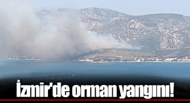 İzmir'de orman yangını!