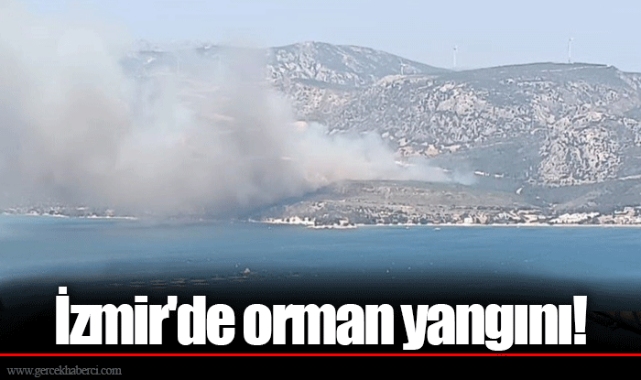 İzmir'de orman yangını!