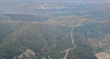 İzmir’de ormanlık arazide çıkan yangın kontrol altında