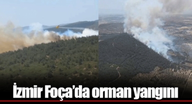 İzmir Foça’da orman yangını