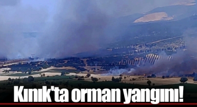 Kınık'ta orman yangını!