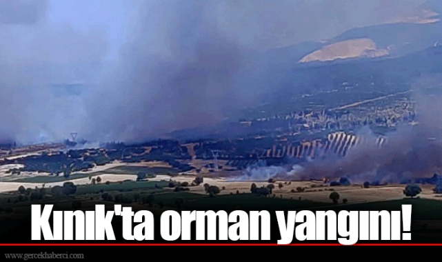Kınık'ta orman yangını!