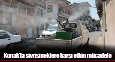 Konak’ta sivrisineklere karşı etkin mücadele