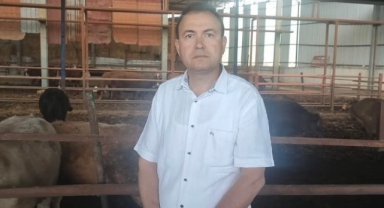 Kurbanlık dana poz verirken can aldı