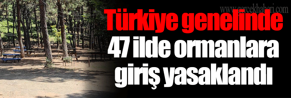 Türkiye genelinde 47 ilde ormanlara giriş yasaklandı
