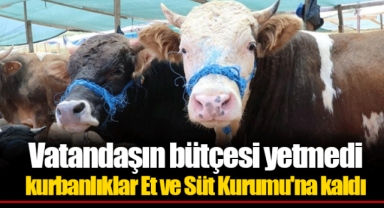 Vatandaşın bütçesi yetmedi kurbanlıklar Et ve Süt Kurumu'na kaldı