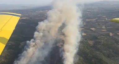 Vatandaşlar tahliye ediliyor.. Aydın'da orman yangını