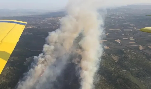 Vatandaşlar tahliye ediliyor.. Aydın'da orman yangını
