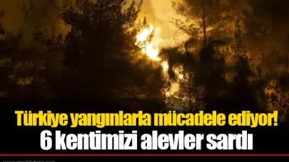 Türkiye yangınlarla mücadele ediyor! 6 kentimizi alevler sardı