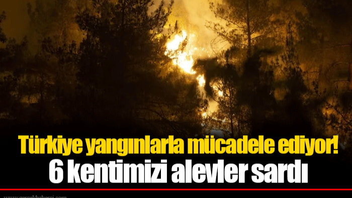 Türkiye yangınlarla mücadele ediyor! 6 kentimizi alevler sardı