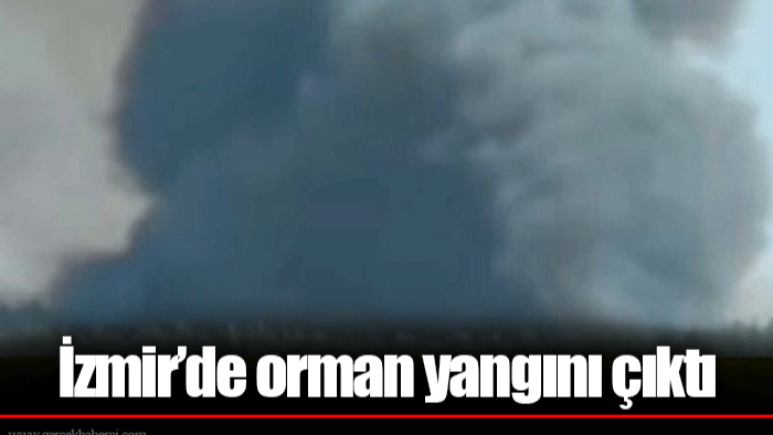 İzmir’de orman yangını çıktı
