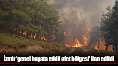 İzmir 'genel hayata etkili afet bölgesi' ilan edildi