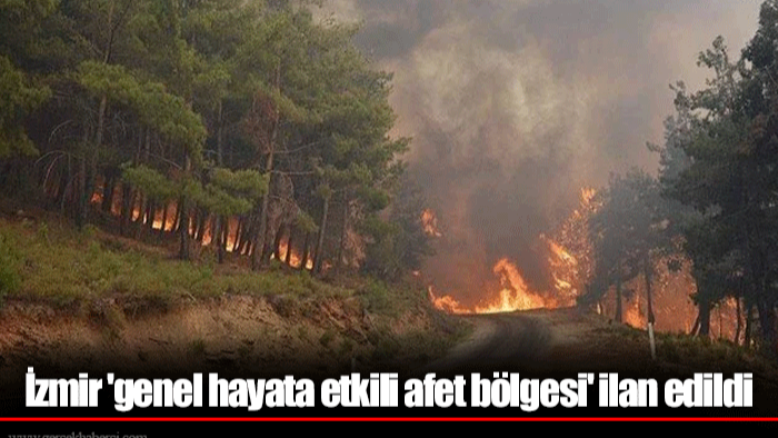 İzmir 'genel hayata etkili afet bölgesi' ilan edildi