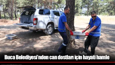 Buca Belediyesi’nden can dostları için hayati hamle