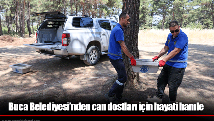 Buca Belediyesi’nden can dostları için hayati hamle