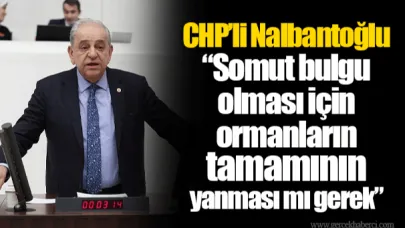 CHP’li Nalbantoğlu “Somut bulgu olması için ormanların tamamının yanması mı gerek”