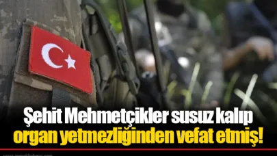 Şehit Mehmetçikler susuz kalıp organ yetmezliğinden vefat etmiş!