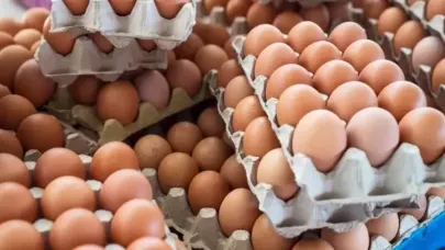 Ünlü Yumurta Devine Kayyım Atandı