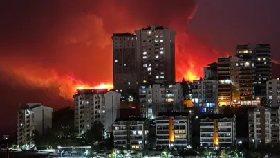 Bursa'da alevler TOKİ bölgesine ilerliyor: Rüzgarın etkisiyle büyüyor