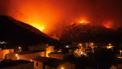 Bursa'daki orman yangınlarında 1 şehit! Kalp krizi geçiren görevli kurtarılamadı