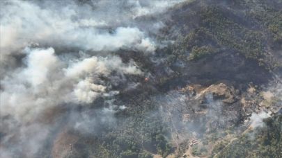 Orman yangınlarıyla ilgili 3 şüpheli tutuklandı