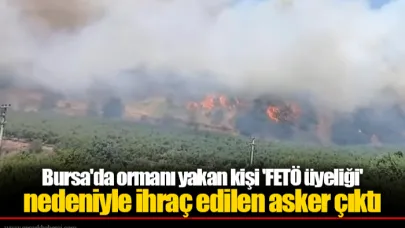 Bursa'da ormanı yakan kişi 'FETÖ üyeliği' nedeniyle ihraç edilen asker çıktı