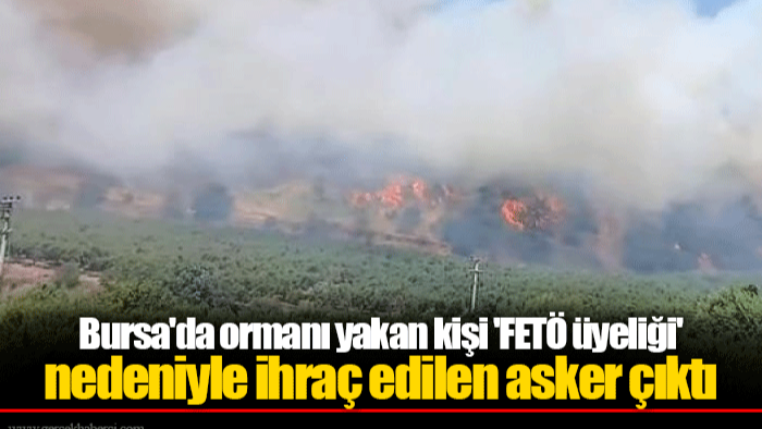 Bursa'da ormanı yakan kişi 'FETÖ üyeliği' nedeniyle ihraç edilen asker çıktı