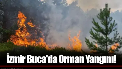 İzmir Buca'da Orman Yangını!