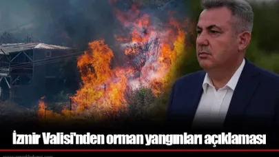 İzmir Valisi'nden orman yangınları açıklaması