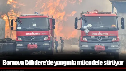 Bornova Gökdere’de yangınla mücadele sürüyor
