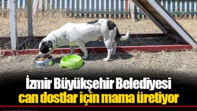 İzmir Büyükşehir Belediyesi can dostlar için mama üretiyor