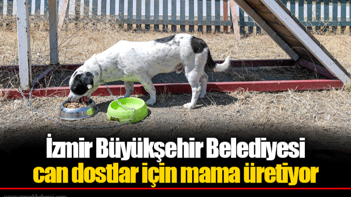 İzmir Büyükşehir Belediyesi can dostlar için mama üretiyor