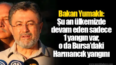 Bakan Yumaklı: Şu an ülkemizde devam eden sadece 1 yangın var, o da Bursa’daki Harmancık yangını