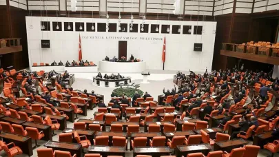 Meclis İnsan Hakları Komisyonu karnesi: 21 bin 642 ihlal başvurusuna karşı 153 ziyaret