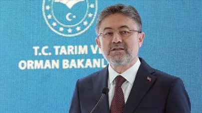 Bakan Yumaklı duyurdu! Bursa'daki yangın kontrol altına alındı