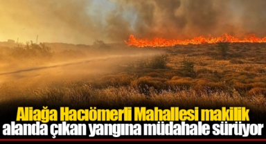 Aliağa Hacıömerli Mahallesi makilik alanda çıkan yangına müdahale sürüyor