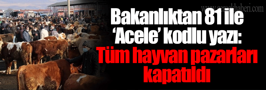 Bakanlıktan 81 ile ‘Acele’ kodlu yazı: Tüm hayvan pazarları kapatıldı