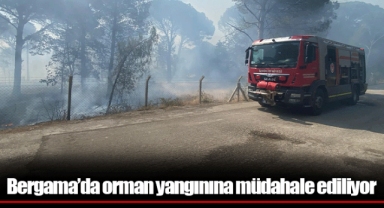 Bergama’da orman yangınına müdahale ediliyor