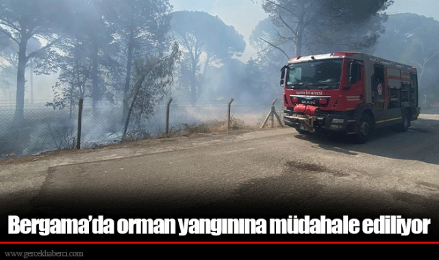 Bergama’da orman yangınına müdahale ediliyor