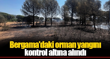 Bergama'daki orman yangını kontrol altına alındı