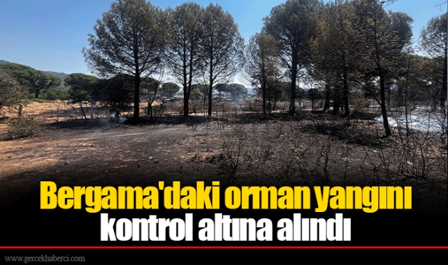 Bergama'daki orman yangını kontrol altına alındı