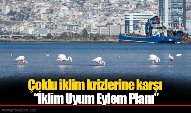 Çoklu iklim krizlerine karşı “İklim Uyum Eylem Planı”   