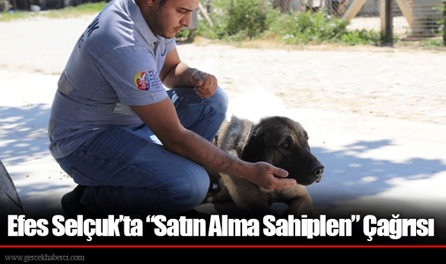 Efes Selçuk’ta “Satın Alma Sahiplen” Çağrısı